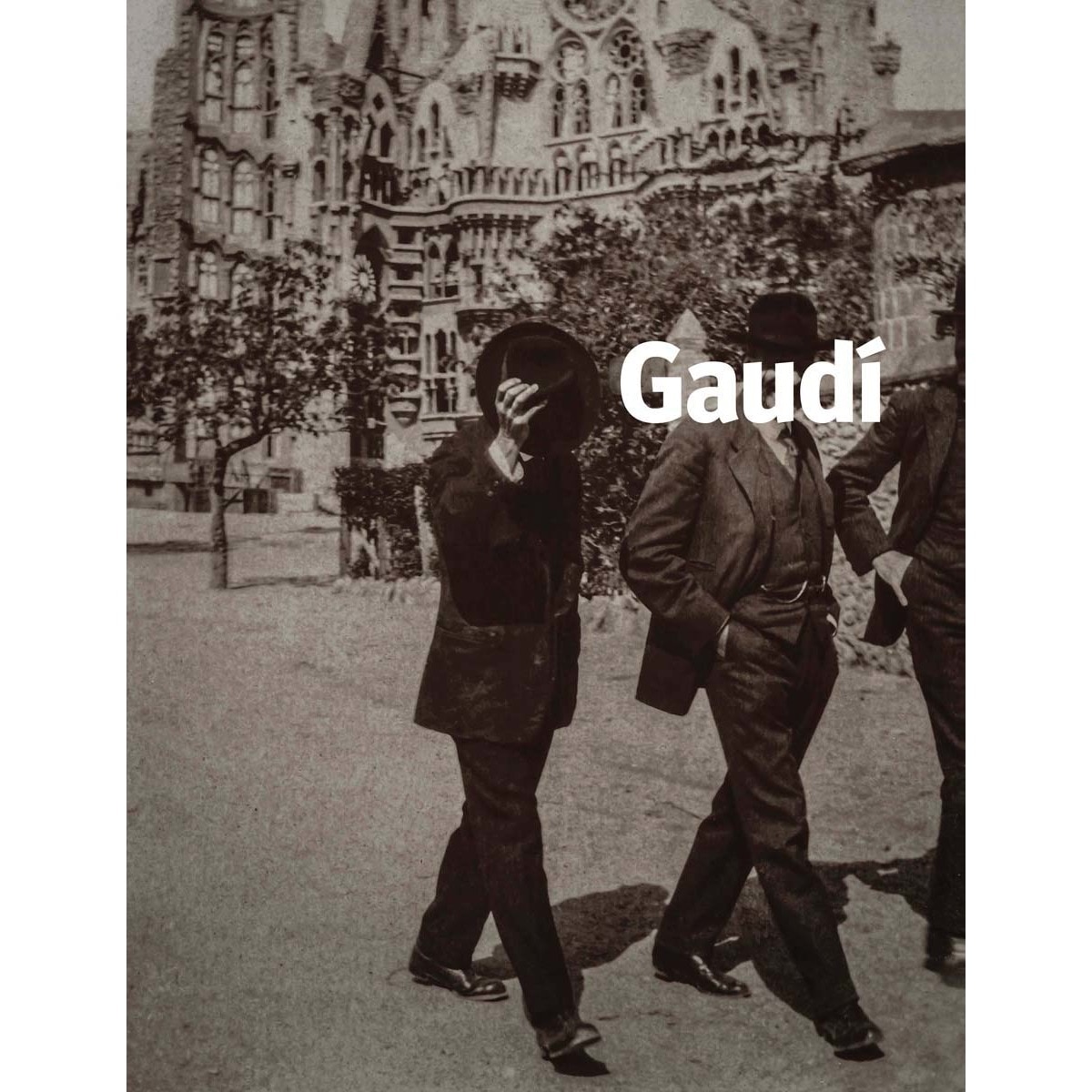 Gaudí(Tapa dura) 1