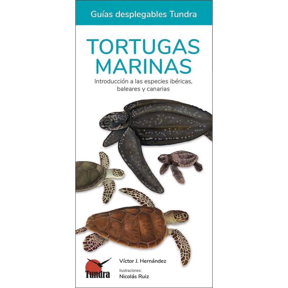 Imagem 0 de Tortugas marinas - guias desplegables tundra