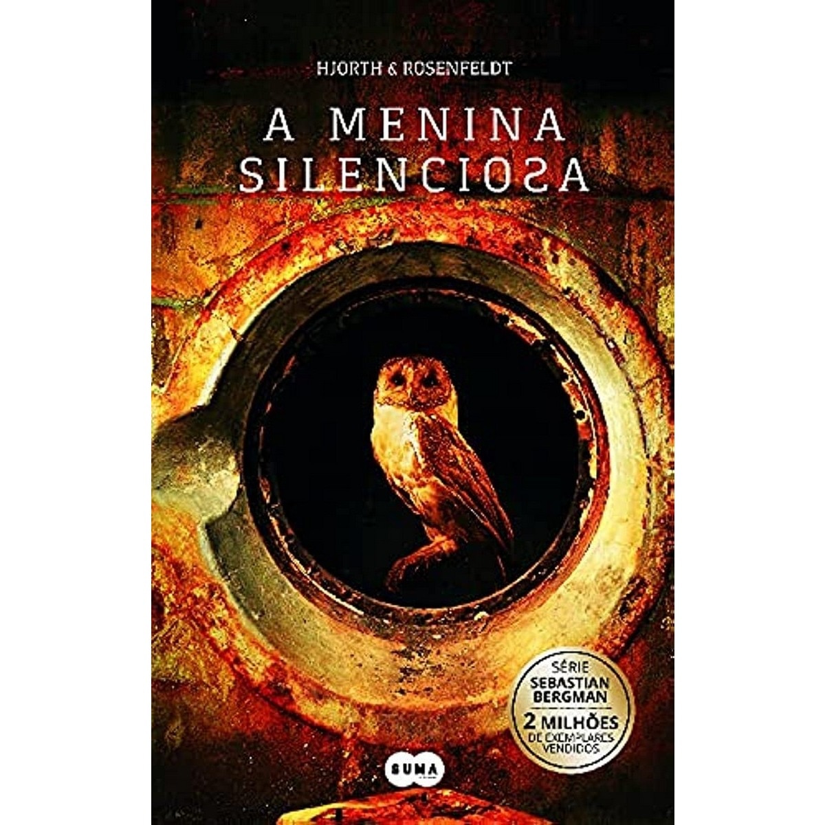 Imagem 0 de A menina silenciosa