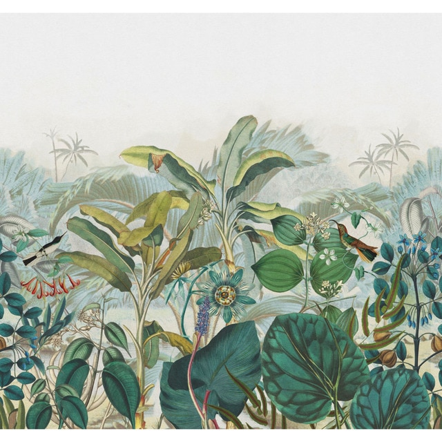 Imagem 0 de Papel de Parede TNT Tropical Madagáscar