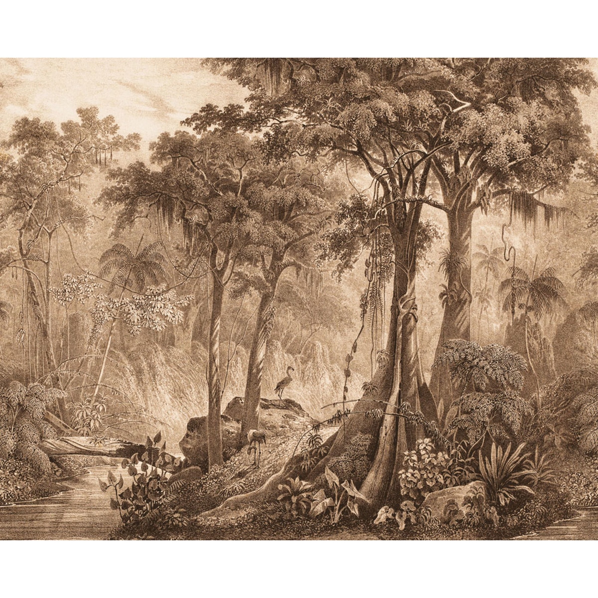 Papel de Parede TNT Rio Madagáscar Castanho-1