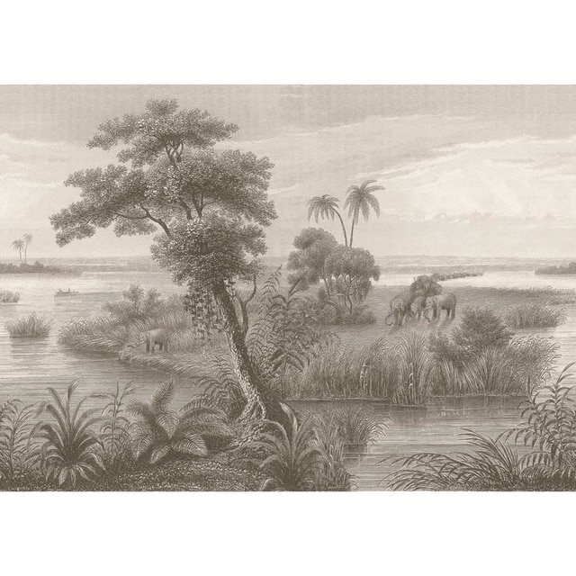 Imagem 0 de Papel de Parede TNT Oasis Madagáscar