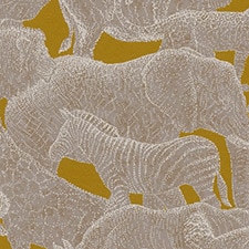 Dourado