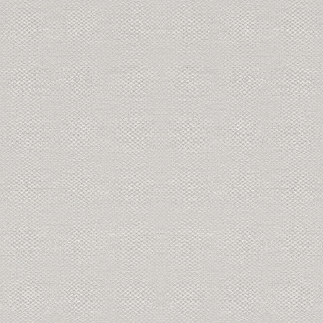 Imagem 0 de Papel de Parede TNT Liso com Textura Singapur