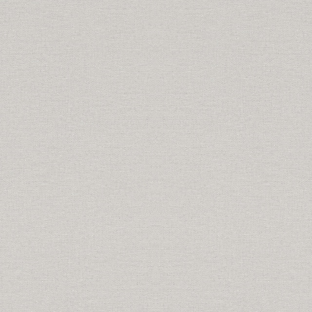 Imagem 0 de Papel de Parede TNT Liso com Textura Singapur