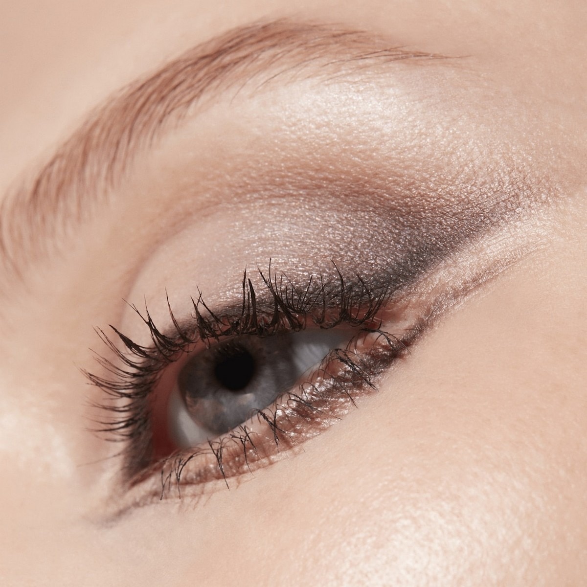 Paleta Eye Shadow Connect In Colour Encrypted Kryptonite-6