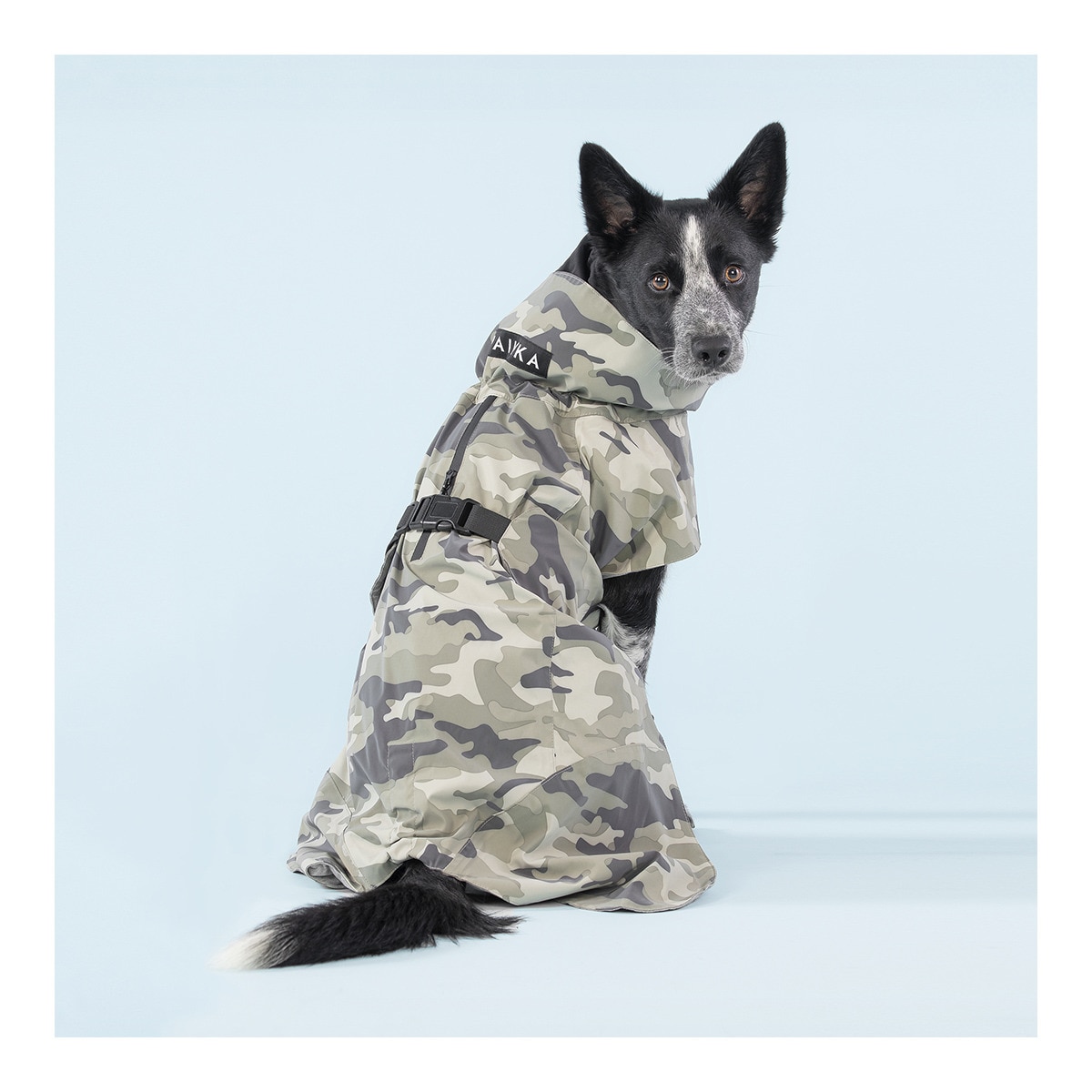 Camuflaje Abrigo Bulldog Frances SUPREPET, Ropa Para Perros