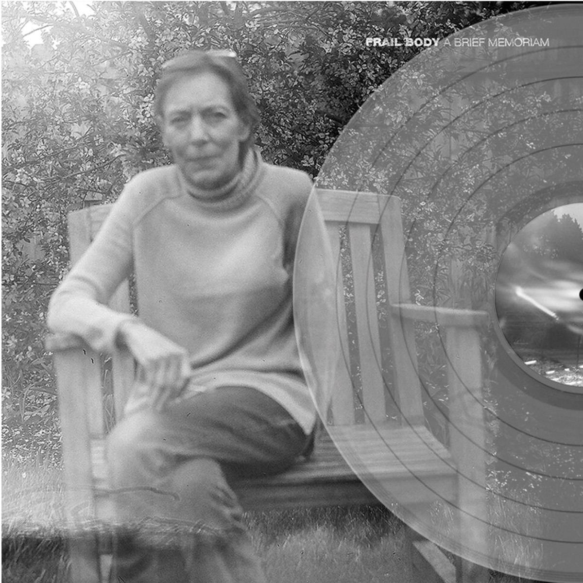 Imagem 0 de A brief memoriam (Edição Color) (LP-Vinil)