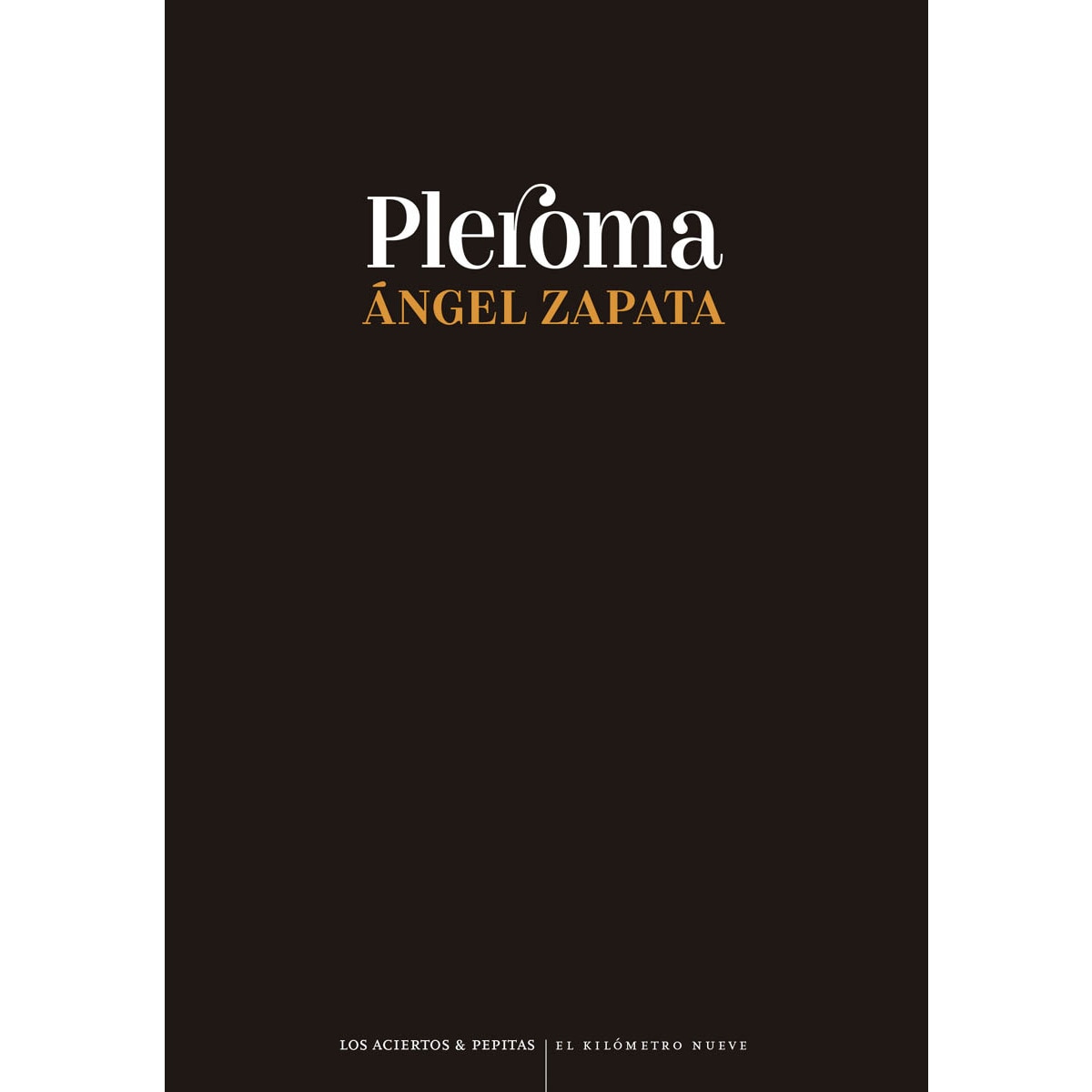 Imagem 0 de Pleroma (Capa mole com abas)