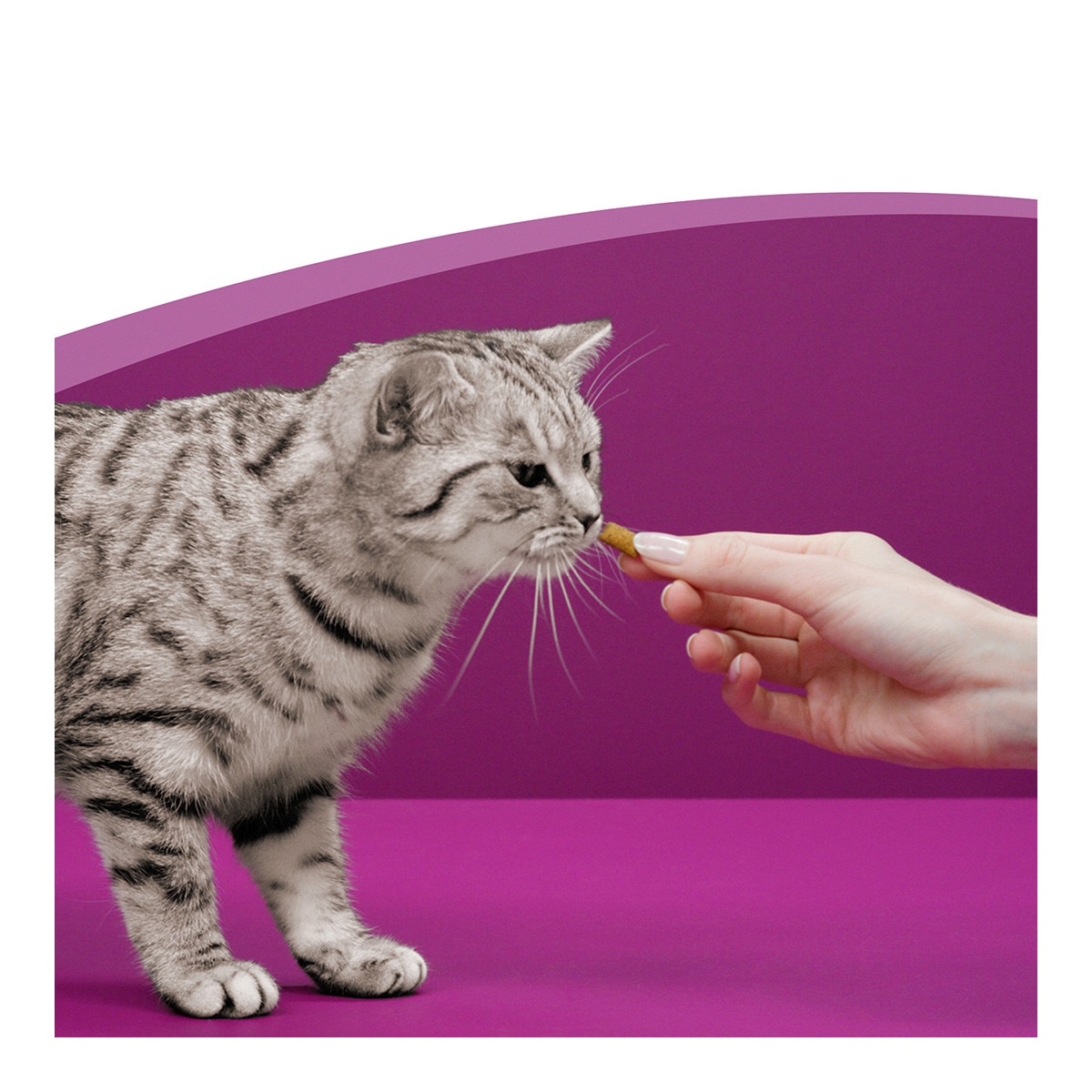 Snack para gatos Whiskas Anti-Hairball 60 g 6