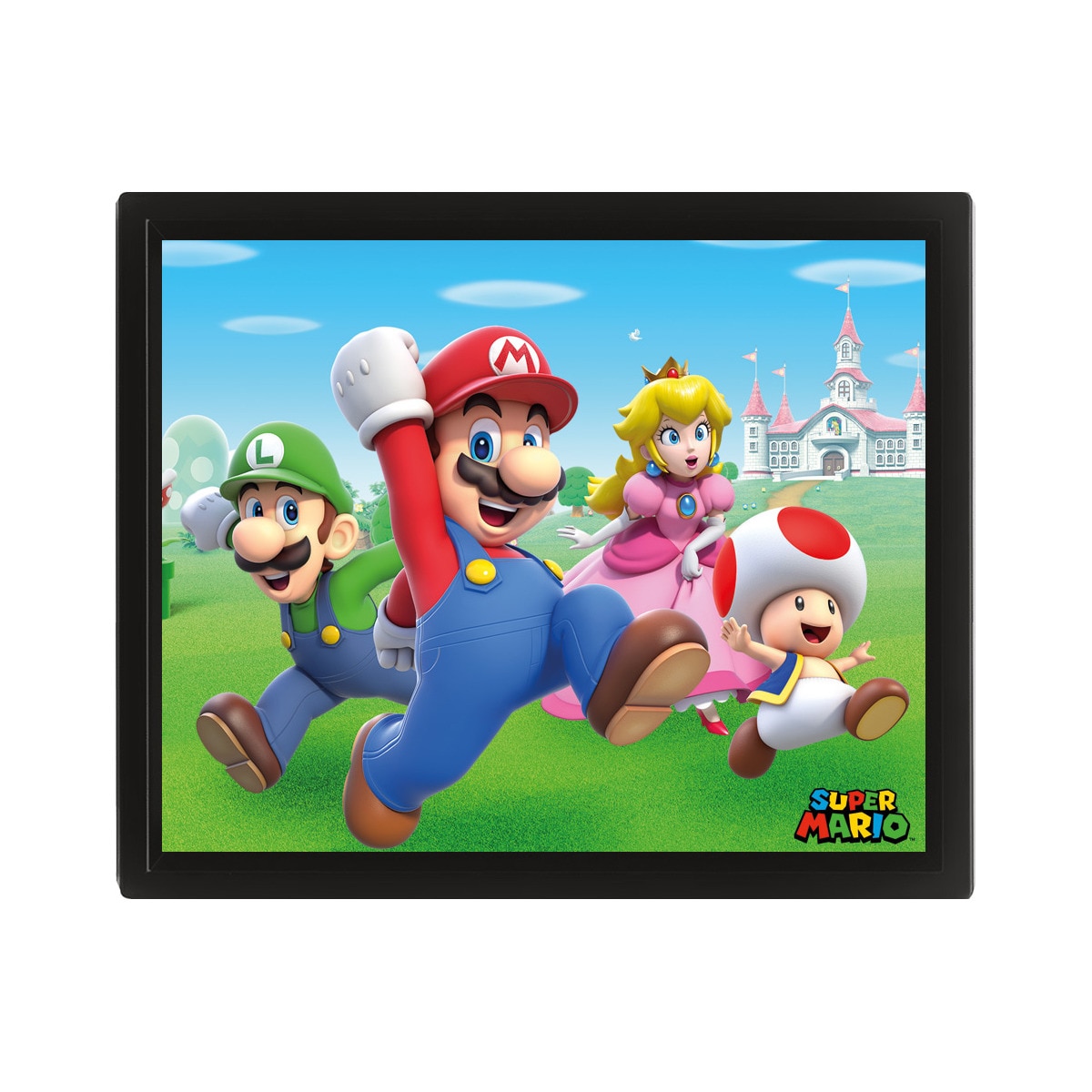 Imagem 0 de Quadro Nintendo