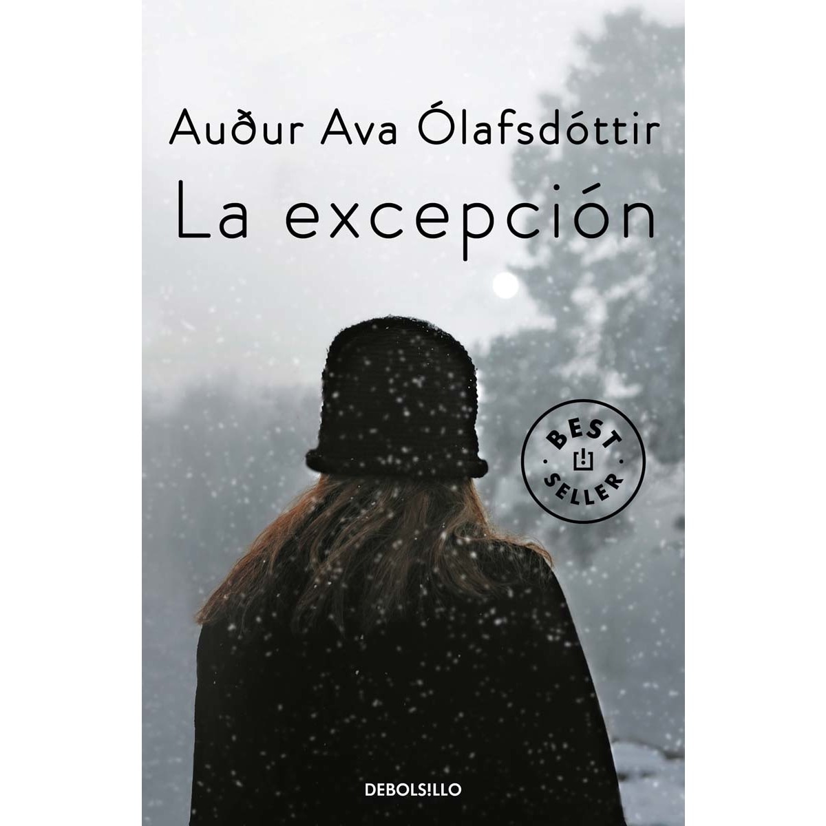 Imagen 0 de La excepción (Tapa blanda)