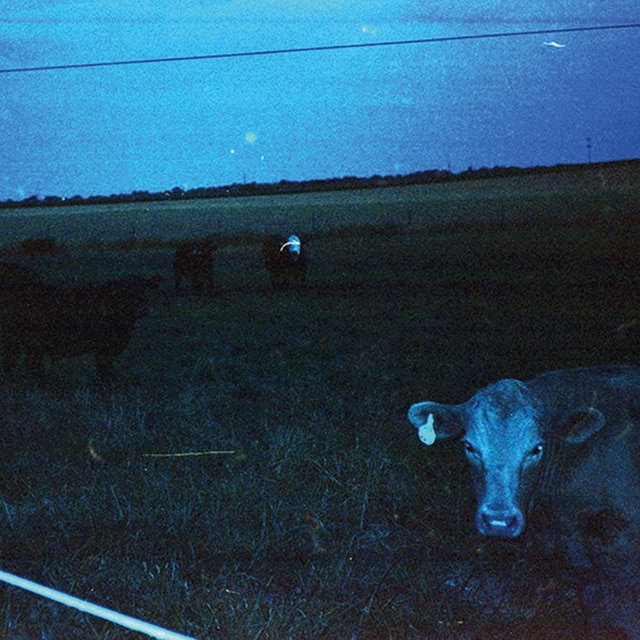 Imagen 0 de Antarctica (Edición Color) (LP-Vinilo)