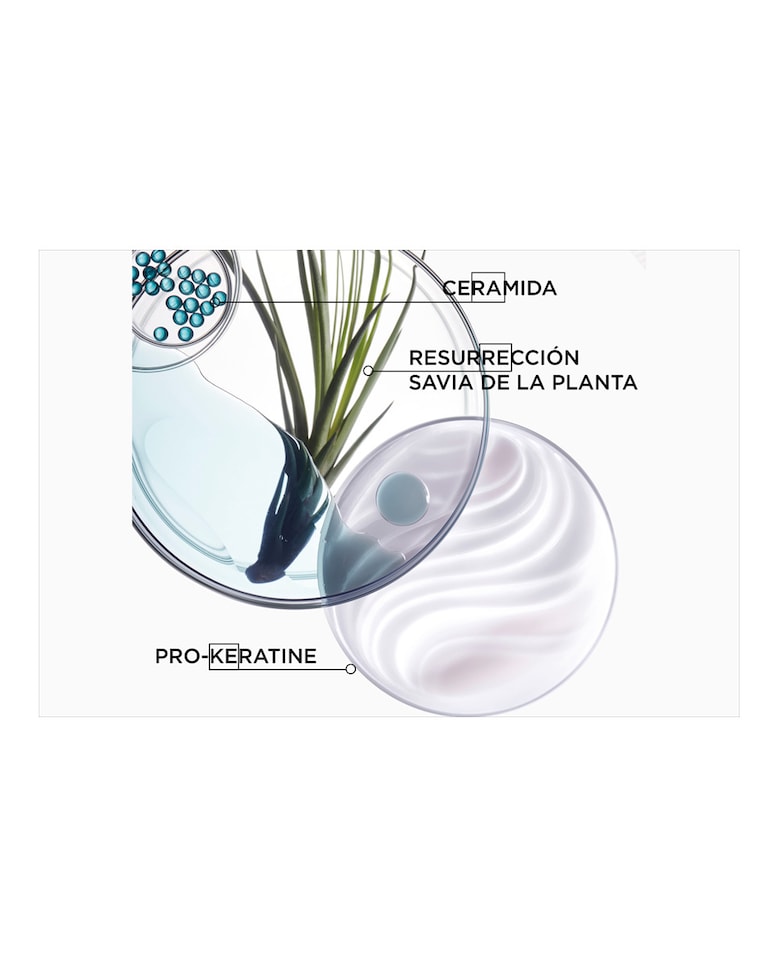 Recarga de Champú para Cabello Dañado Résistance Bain Force Architecte 500 ml  Kérastase 5