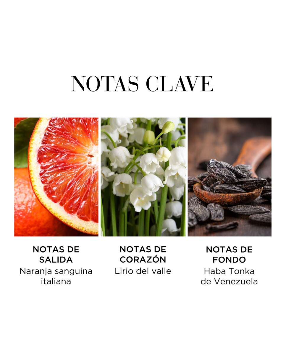 Eau de Toilette White Tea Eau Fraiche 100 ml Elizabeth Arden