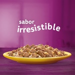 comida húmeda en gelatina para gatos senior selección de aves 4 sobres 85 g