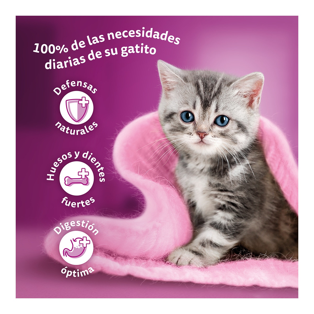 Comida húmeda para gatos Whiskas Junior Selección Carne 4 x 85 g 5