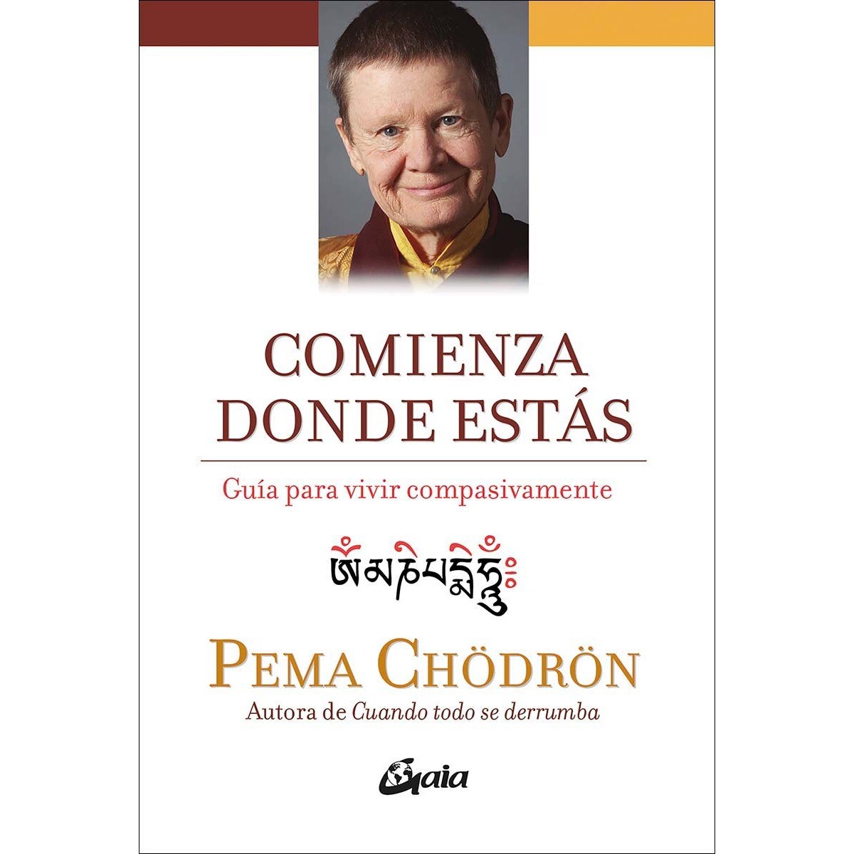 Comienza donde estás: Guía para vivir compasivamente (Capa mole com abas) 1