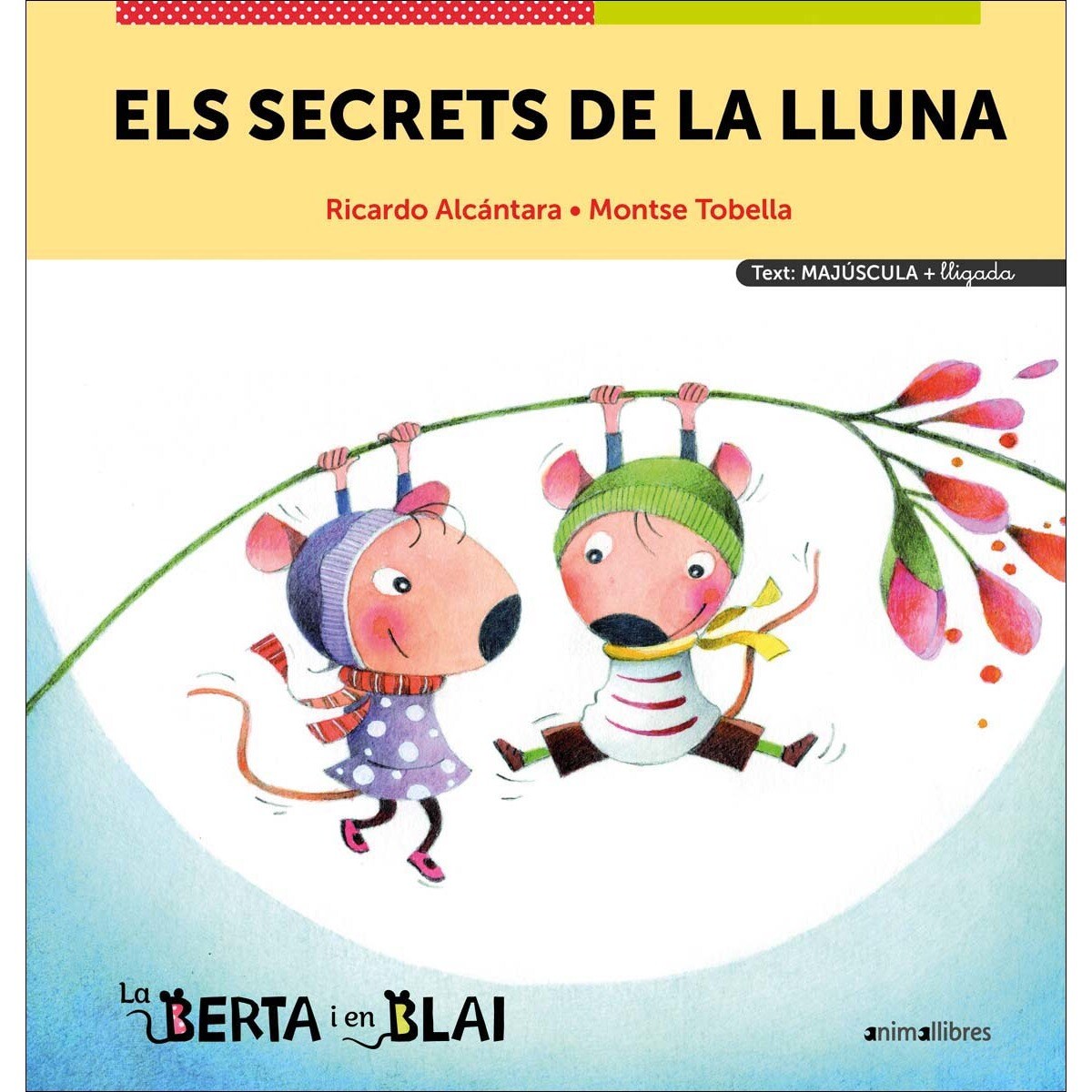 Imagem 0 de Els secrets de la Lluna