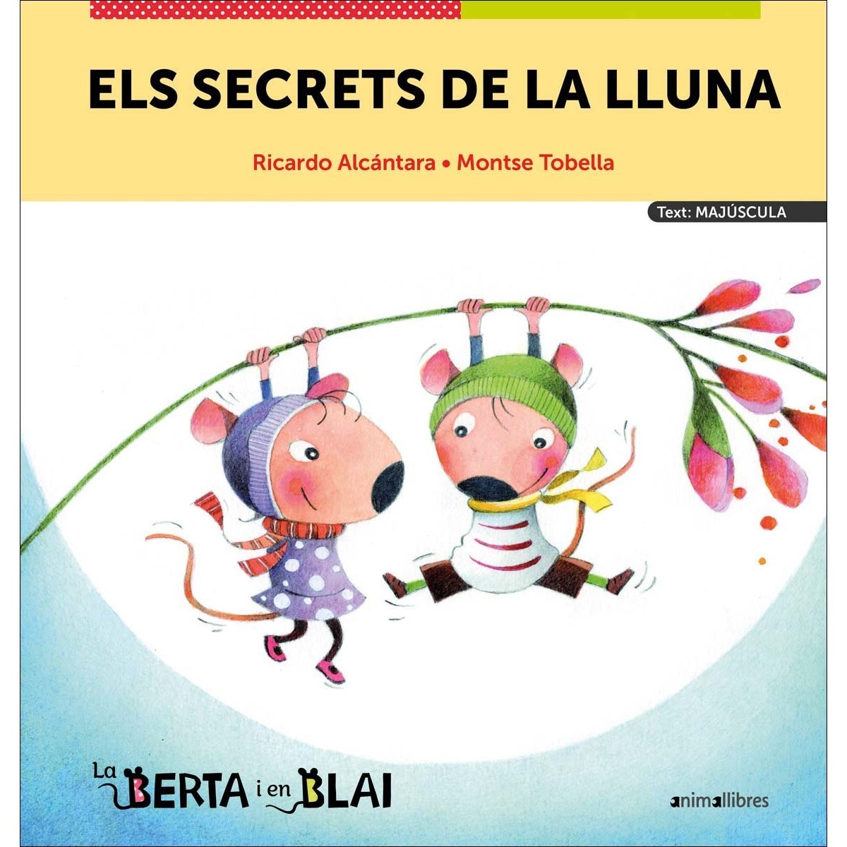 Imagem 0 de Els secrets de la Lluna