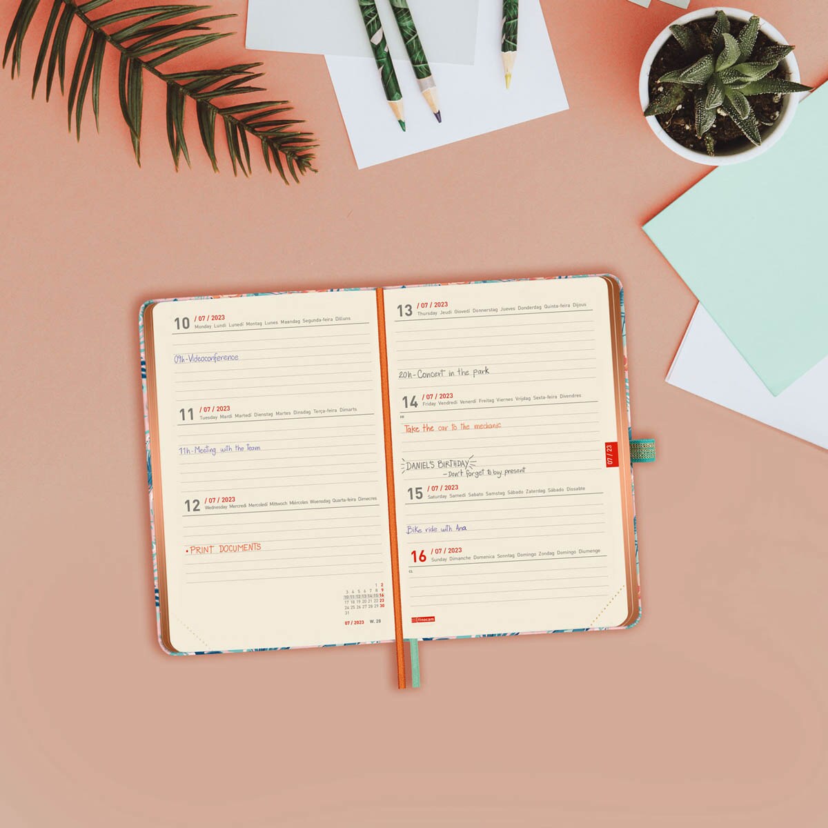 Agenda 18 meses julio 2023-diciembre 2024 Mínimal M3-100x150 semana vista horizontal Girl Finocam multilingüe 4