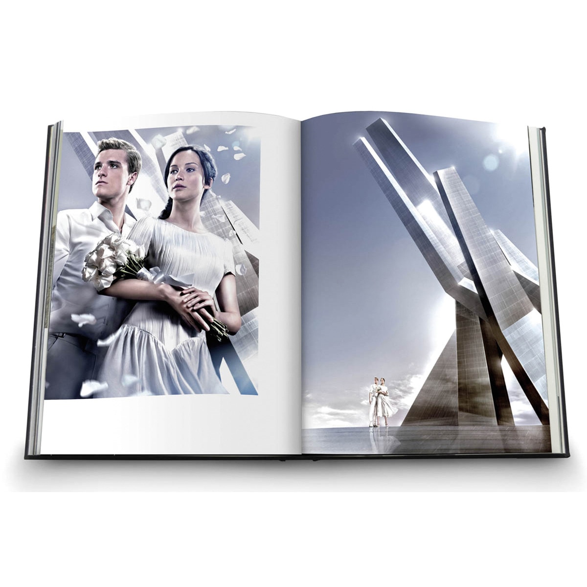 Tim Palen. Hunger Games 2