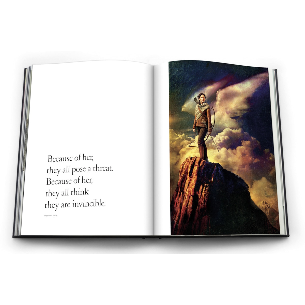 Tim Palen. Hunger Games 3