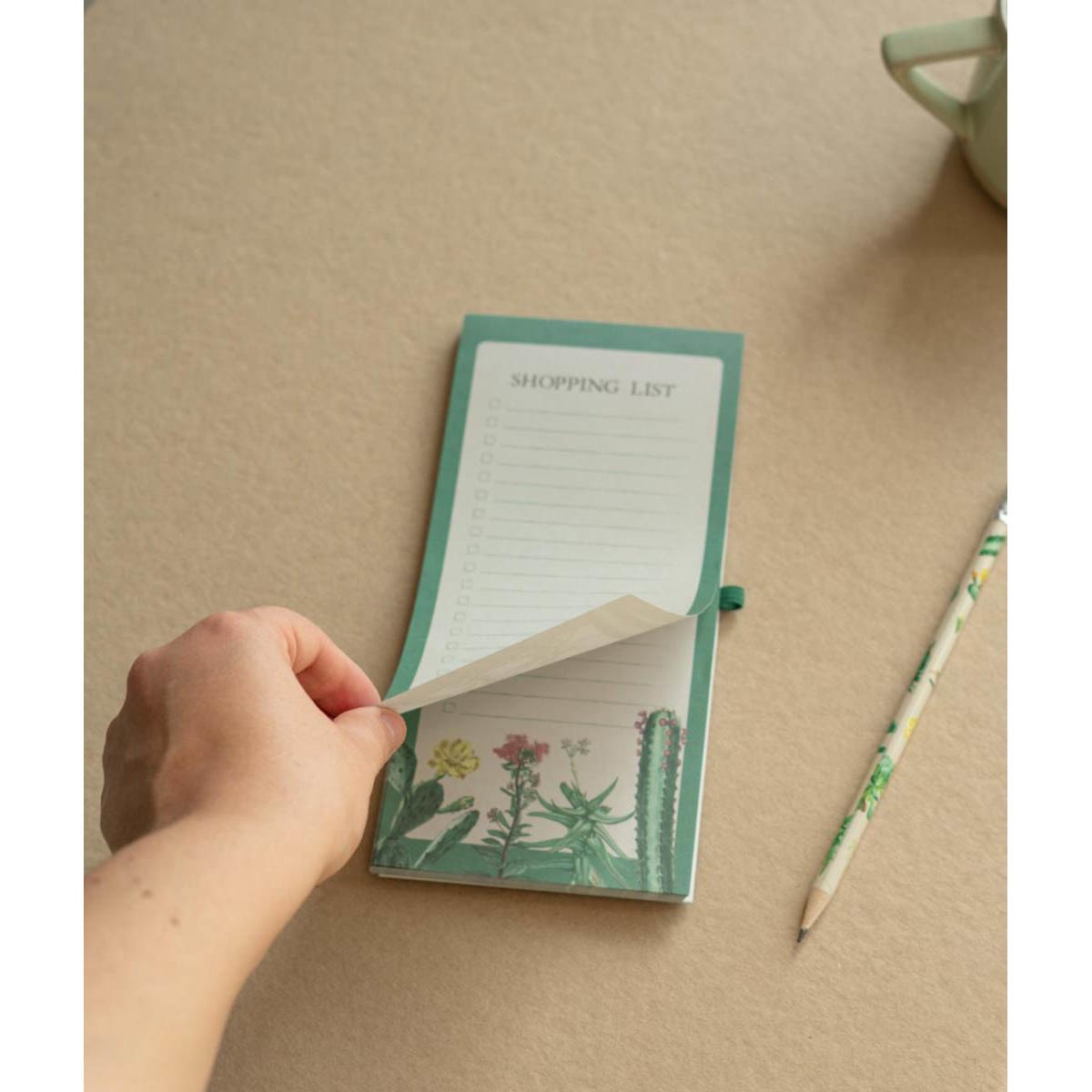 Notas magnéticas Botanical Cacti Kokonote verde y beige Verde / Beige-7