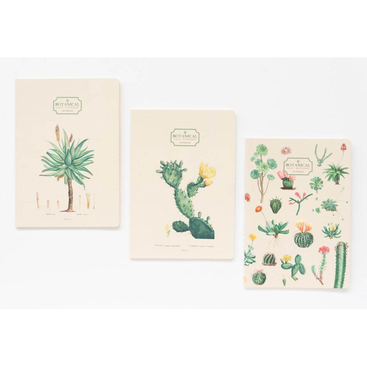 Pack de 3 Cadernos Botanical Cacti A5 - Verde e Bege Verde / Bege-2