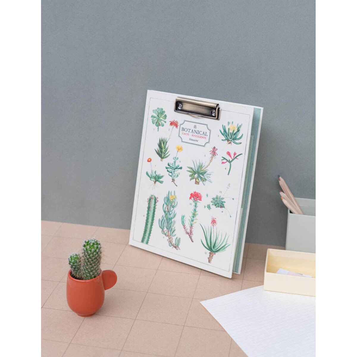 Carpeta A4 con pinza Botanical Cacti verde y beige Verde / Beige-4