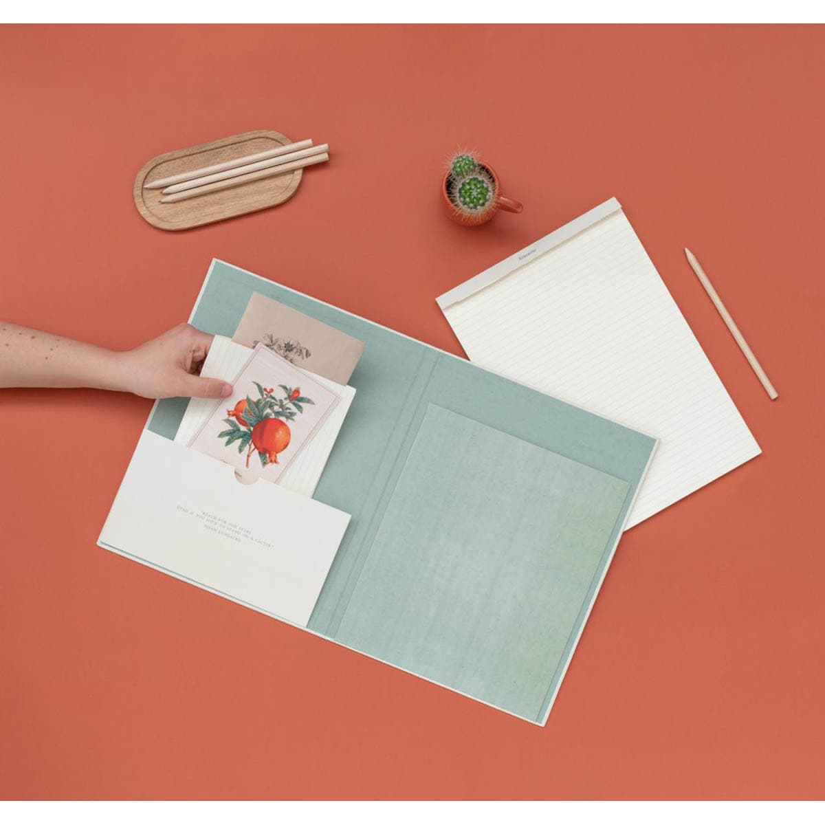 Carpeta A4 con pinza Botanical Cacti verde y beige Verde / Beige-6