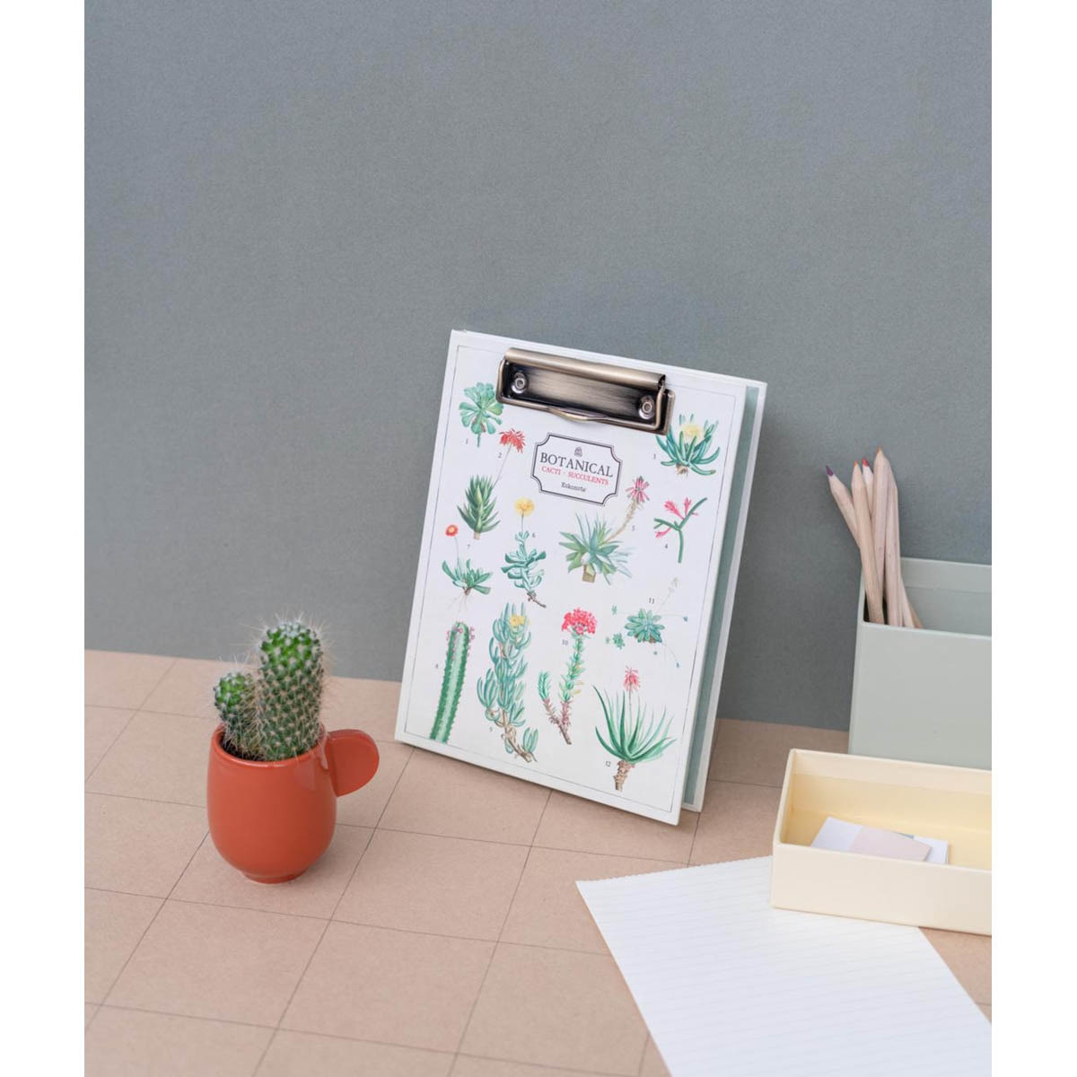 Pasta com Pinça Botanical Cacti A5 - Branco Branco / Verde-4