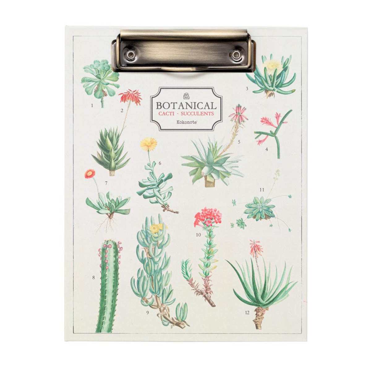 Pasta com Pinça Botanical Cacti A5 - Branco Branco / Verde-1