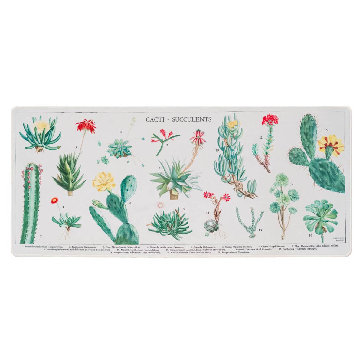 Alfombrilla Raton Xl Botanical Cacti 80x35x0,4 Grupo Erik Editores Verde Verde / Beige-2