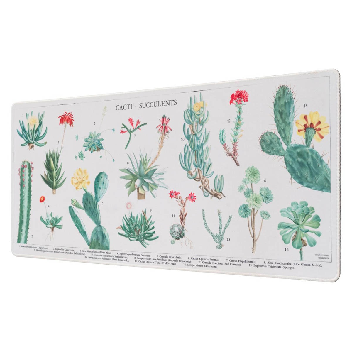 Alfombrilla Raton Xl Botanical Cacti 80x35x0,4 Grupo Erik Editores Verde Verde / Beige-1