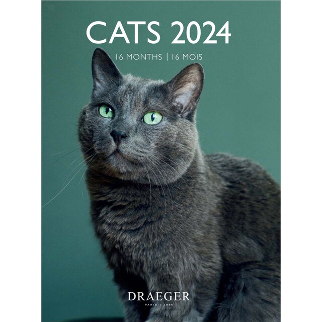 Imagen 0 de Calendario 2024 16 meses (septiembre-diciembre) mes vista por página con motivos de gatos Draeger