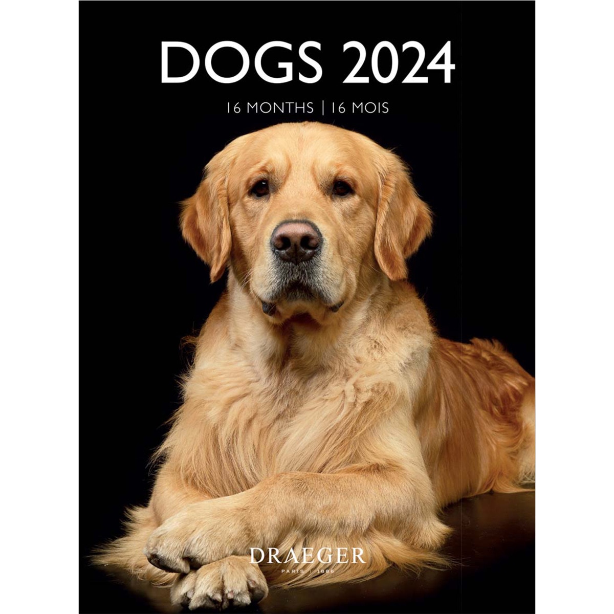 Calendário 2024 16 Meses (Setembro-Dezembro), Vista Mensal por Página com Motivos de Cães Estampado-1