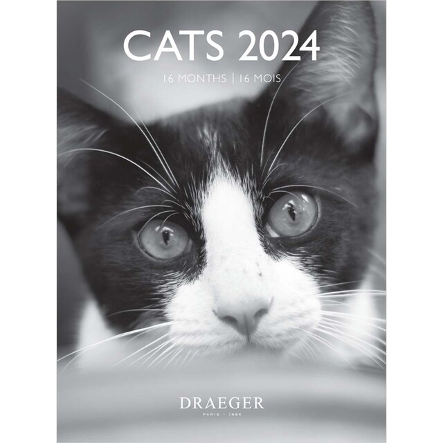 Imagen 0 de Calendario 2024 16 meses (septiembre-diciembre) mes vistas por página con motivos de gatos blanco y negro Draeger