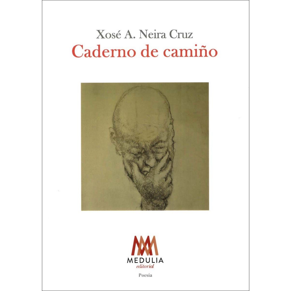 CADERNO DE CAMIÑO (Capa mole com abas) 1