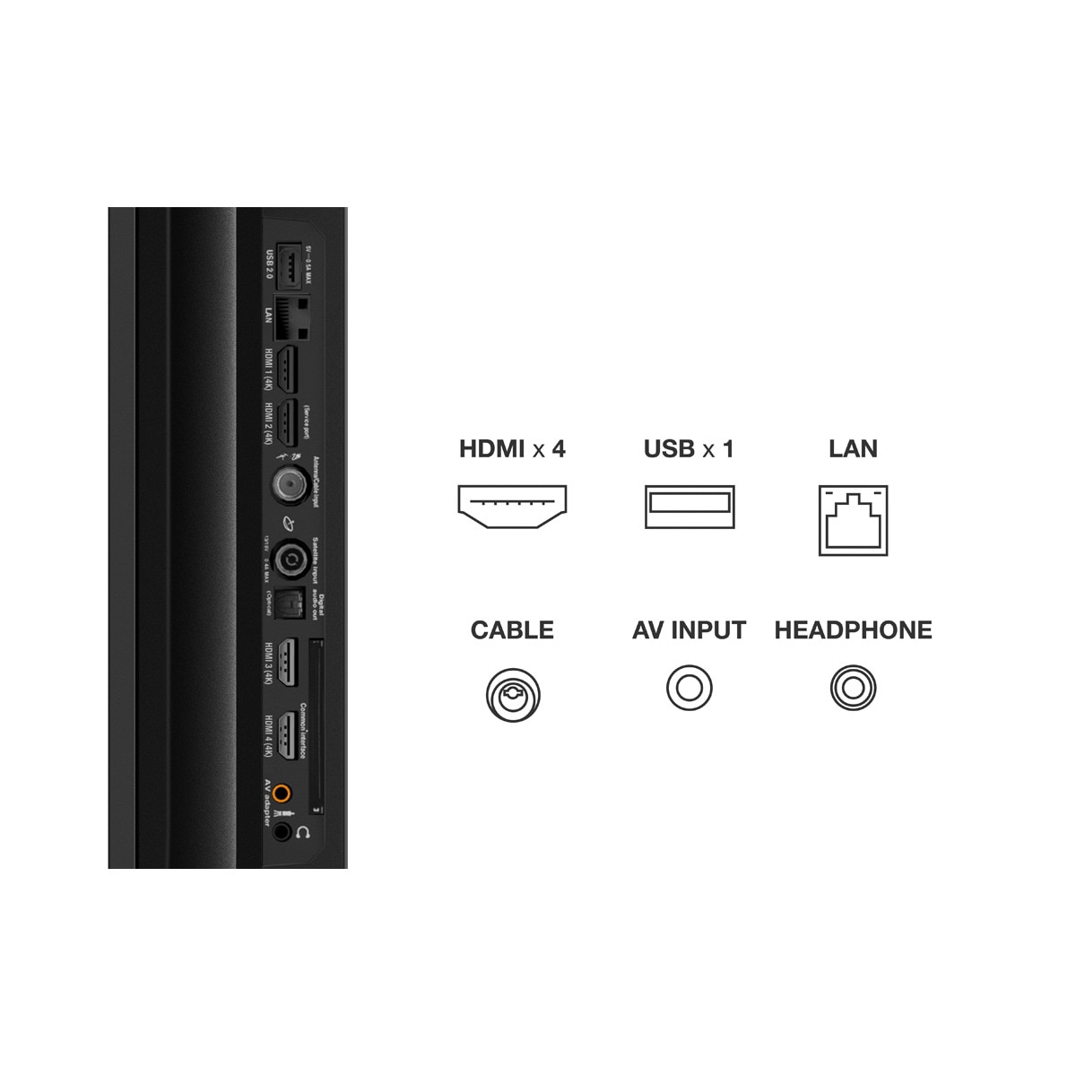 TV QLED 189 cm (75") TCL 75C735, UHD 4K, Google TV, Dolby Vision, Dolby Atmos y Google Assistant Titanio-12