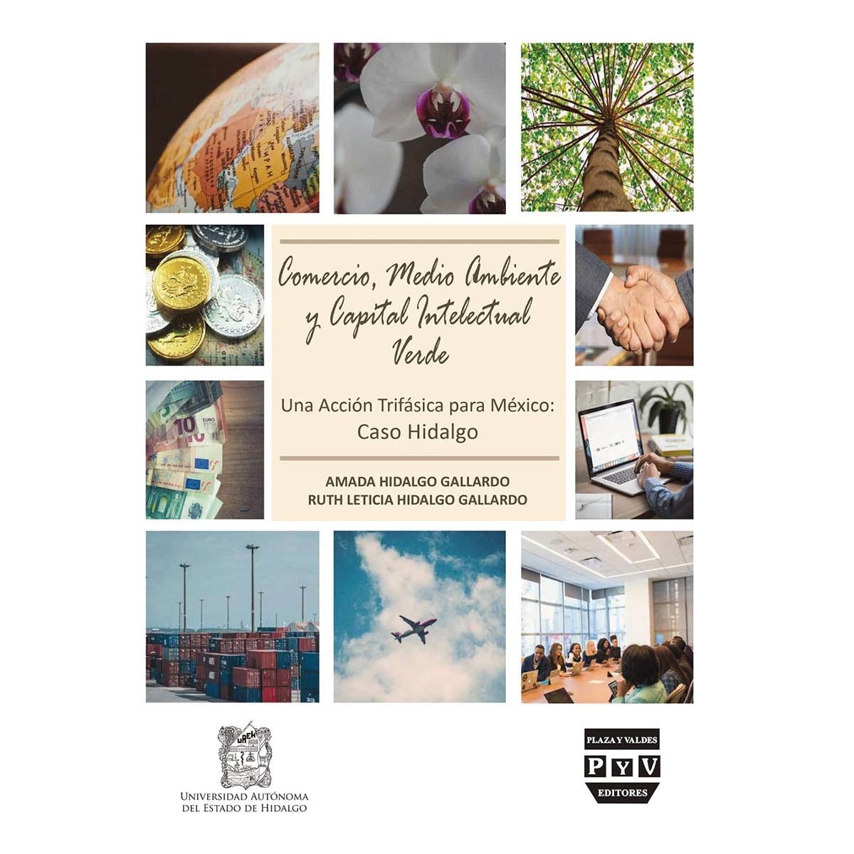 Comercio, medio ambiente y capital intelectual ver 1