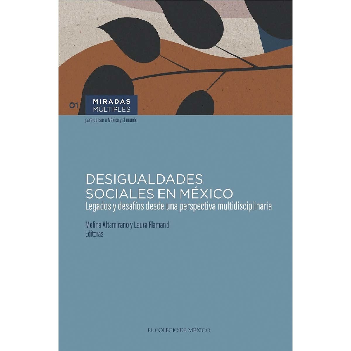 Desigualdades sociales en méxico 1