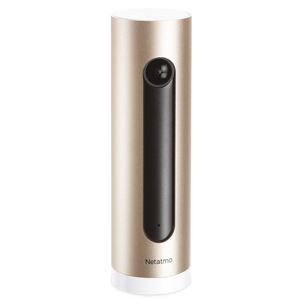 Cámara de seguridad interior Netatmo Welcome Aluminio / Dorado-1
