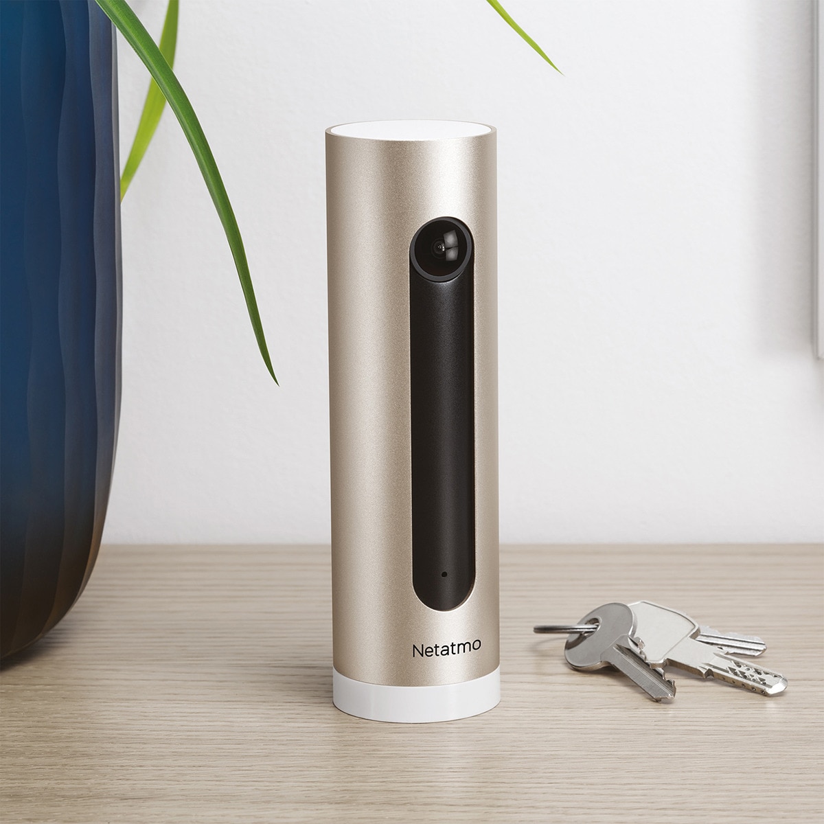 Cámara de seguridad interior Netatmo Welcome Aluminio / Dorado-4