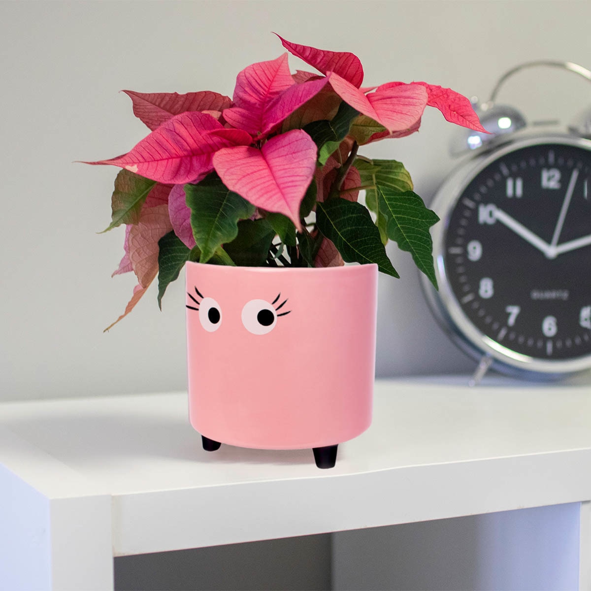 Suporte para Vasos Olhos - Rosa 3