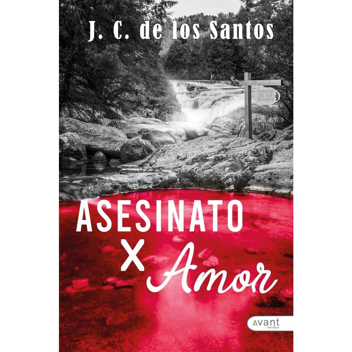 Asesinato por amor (Capa mole) 1