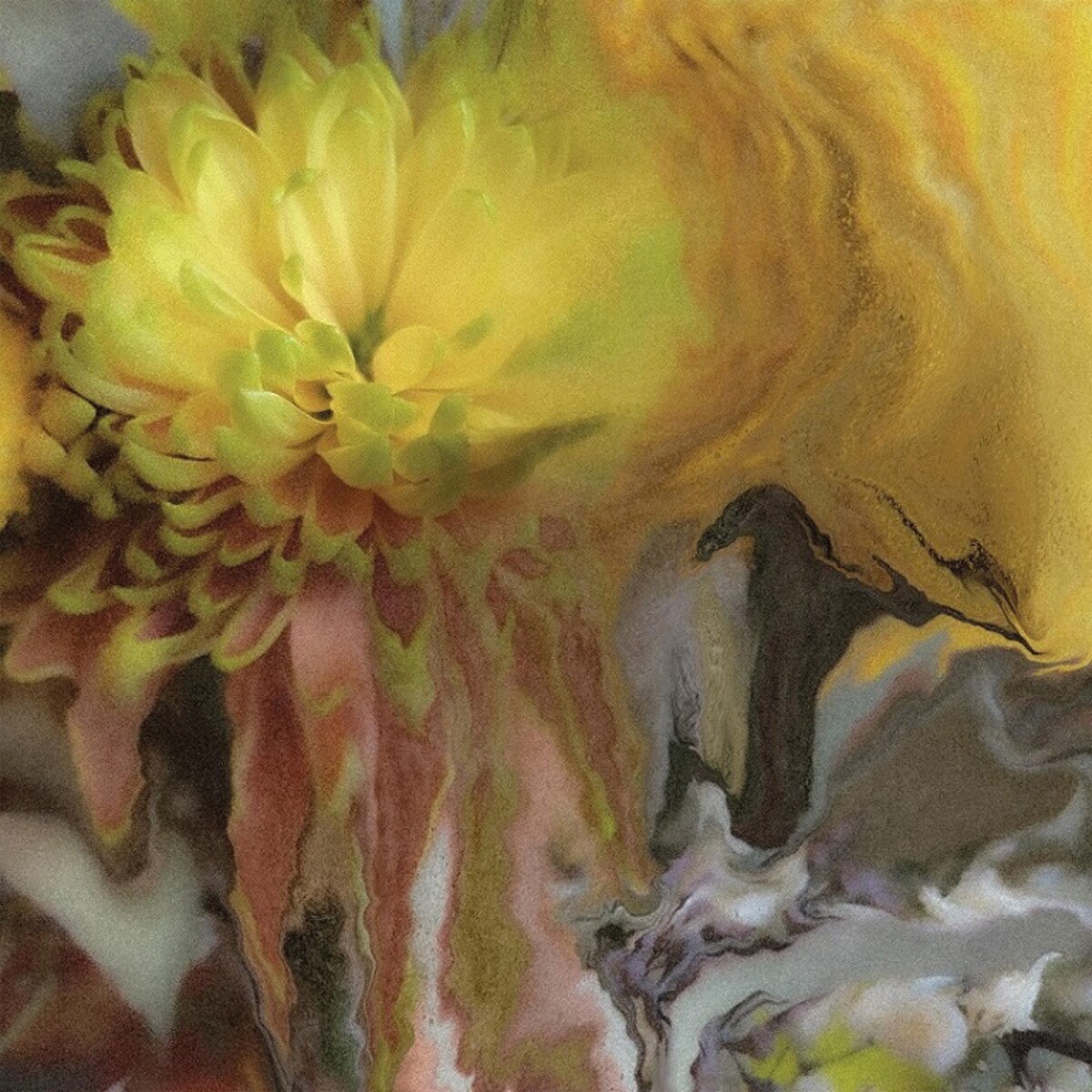 Wilderness within you (LP-Vinil) 1