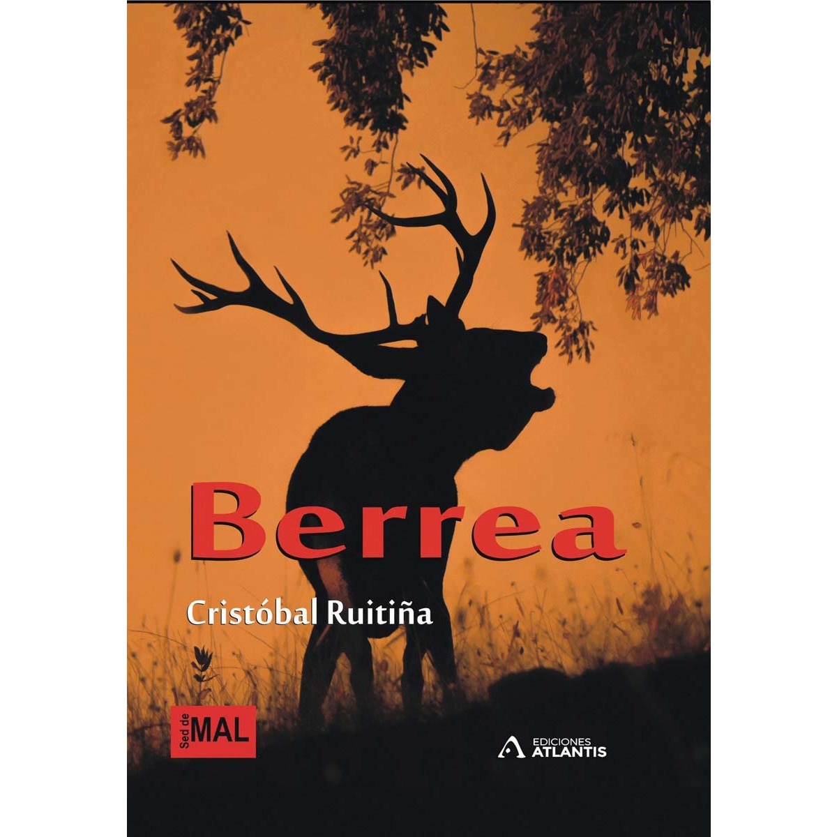 Berrea 1