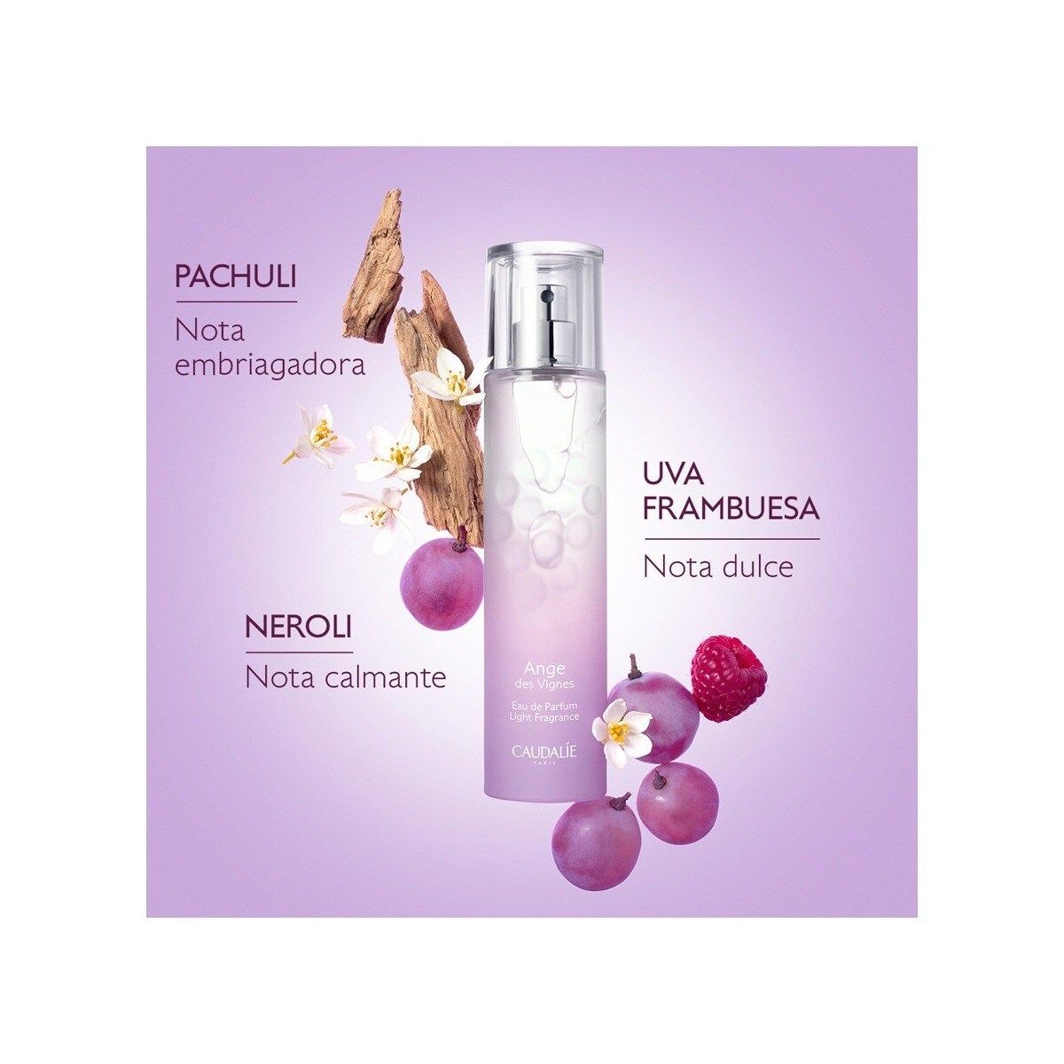Ange des Vignes Eau de Parfum - 50 ml 3