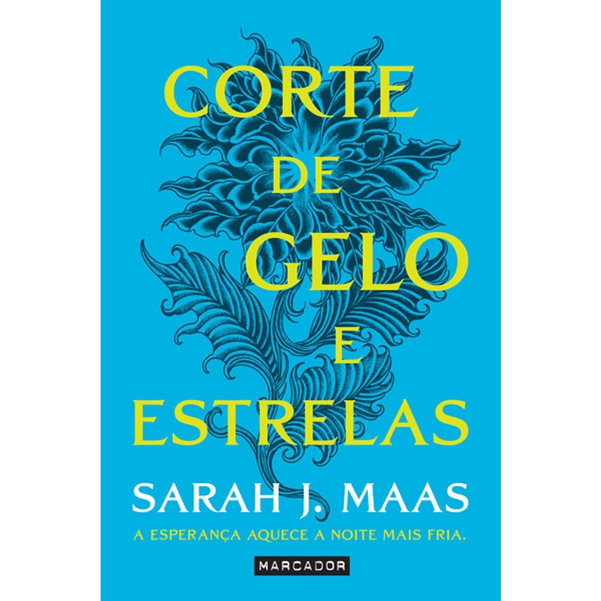 Corte de Gelo e Estrelas - Corte de Espinhos - Livro 3.1 1